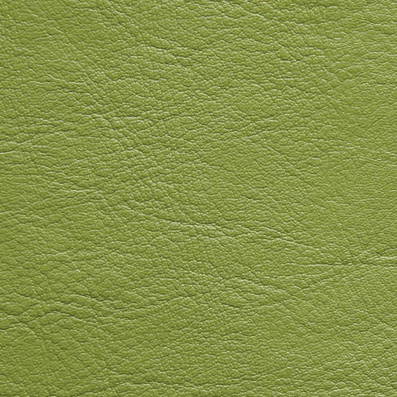 Fabric 04 Aston 226 Lime