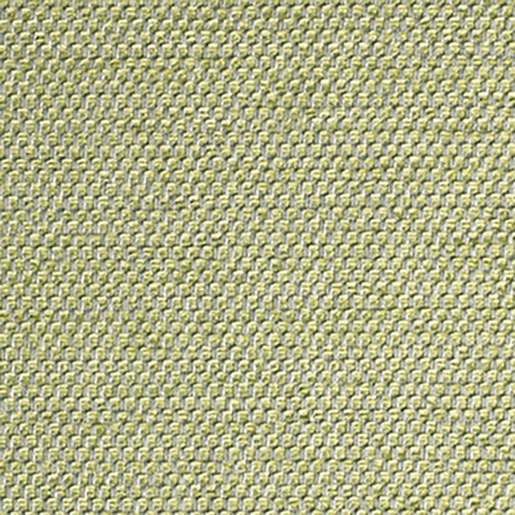 Fabric 05 Kiko Marrow 9808