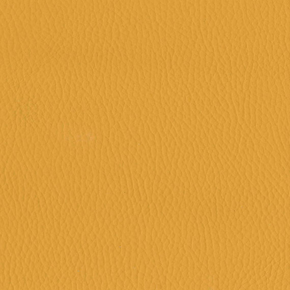 Fabric 12 Style Mustard